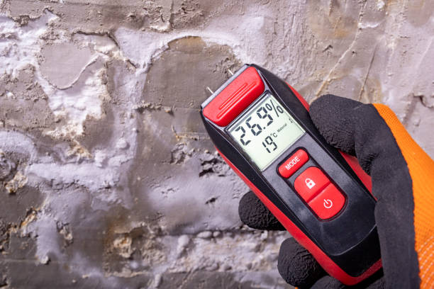 Best Crawl Space Mold Removal  in Old Mystic, CT