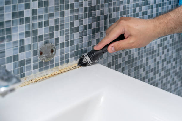 Best Mold Cleaning Services  in Old Mystic, CT
