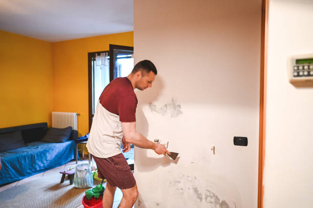 Best Mold Damage Repair  in Old Mystic, CT
